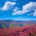 The way of Saint James in Leon pink mountains Royalty Free Stock Photo