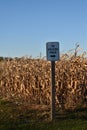 A way sign pointing to a soccer field on the edge of a feed corn field ready for harvest