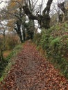 The Way of St. James between valleys and mountains. In Galicia Northwest Spain.