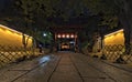 The way to Araiyakushi Baishouin Temple