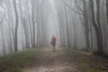 In a foggy forest to Assisi Royalty Free Stock Photo