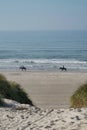 Way to beach view from dune, horse riders in far edi Royalty Free Stock Photo