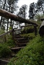 The way to the Cascade in Apatlaco