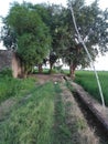 It is a way to a cottage and near trees, grass ,and moterpump also.