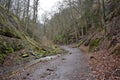 On the way to Drachenschlucht dragonÃÂ´s canyon in Eisenach, ThÃÂ¼ringen in Germany Royalty Free Stock Photo