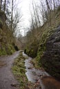 On the way to Drachenschlucht dragonÃÂ´s canyon in Eisenach, ThÃÂ¼ringen in Germany Royalty Free Stock Photo