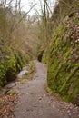 On the way to Drachenschlucht dragonÃÂ´s canyon in Eisenach, ThÃÂ¼ringen in Germany Royalty Free Stock Photo