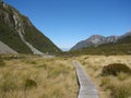 The way to Fox Glacier in New zealand