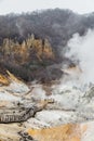 Way to hot spring of Noboribetsu Jigokudani Hell Valley: The volcano valley got its name from the sulfuric smell.