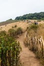 Way to the mountain with golden grass and green shrub with bamboo fence along the way to Kew Mae Pan in Chiang Mai, Thailand Royalty Free Stock Photo