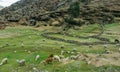 way to Palccoyo rainbow mountains, Cusco/Peru Royalty Free Stock Photo