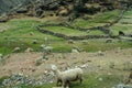 Way to Palccoyo rainbow mountains, Cusco/Peru Royalty Free Stock Photo