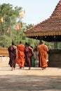 Sri Lanka , budhist monks