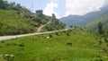 Way to rohtang