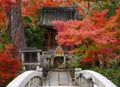Way to a small shinto shrine in autumn