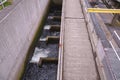 A fish ladder, also known as a fishway, fish pass or fish steps, view from Ballard Locks in Seattle