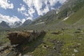 Way to Thajiwas glacier from Sonamarg, India. Royalty Free Stock Photo