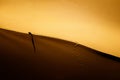 The way to the unknown golden sands of the Libyan desert Royalty Free Stock Photo