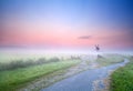 Way to windmill in morning fog Royalty Free Stock Photo