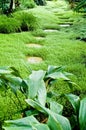 Way trough tropical greenhouse