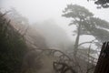 Foggy Rainny day. Stone Steep Steps . Treking walking hking Huangshan Mountain. Anhui, China. April 2009 Royalty Free Stock Photo