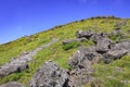 The way up hallasan mountain, Jeju island, South Korea.