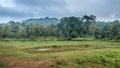 Wayanad forest area, Kerala, India