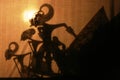 Wayang Kulit (Shadow Puppet Show)