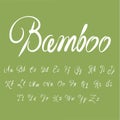 Calligraphic bamboo pen font. Handwritten alphabet in brush style - Vector.