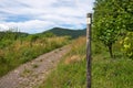 Waymark of Moselsteig close to Ediger-Eller, Germany