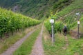 Waymark of Moselsteig close to Ernst, Germany