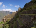 Wayna Picchu ruins Royalty Free Stock Photo