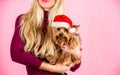 Ways to have merry christmas with pets. Girl attractive blonde hold dog pet pink background. Woman and yorkshire terrier Royalty Free Stock Photo