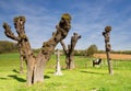 Wayside cross with a horse near Schinnen in Limburg