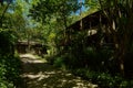 Wayside deserted building in woods of sunny spring