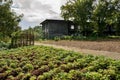 Wayside vegetable field before deserted 1960s` building in cloudy afternoon