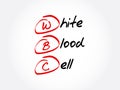 WBC - White Blood Cell acronym Royalty Free Stock Photo