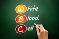 WBC - White Blood Cell acronym, concept on blackboard Royalty Free Stock Photo