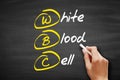 WBC - White Blood Cell acronym, concept on blackboard Royalty Free Stock Photo