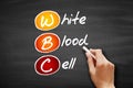 WBC - White Blood Cell acronym, concept on blackboard