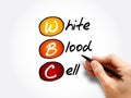 WBC - White Blood Cell acronym, concept Royalty Free Stock Photo