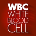 WBC - White Blood Cell acronym, medical concept background Royalty Free Stock Photo