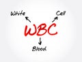 WBC - White Blood Cell acronym, medical concept background Royalty Free Stock Photo