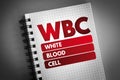 WBC - White Blood Cell acronym Royalty Free Stock Photo