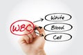 WBC - White Blood Cell acronym