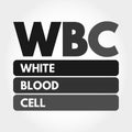 WBC - White Blood Cell acronym concept Royalty Free Stock Photo