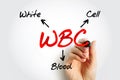 WBC - White Blood Cell acronym, medical concept background