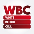 WBC - White Blood Cell acronym Royalty Free Stock Photo