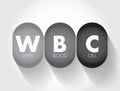 WBC White Blood Cell - cellular component of blood that helps defend the body against infection, acronym text concept background