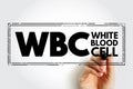 WBC White Blood Cell - cellular component of blood that helps defend the body against infection, acronym text stamp concept